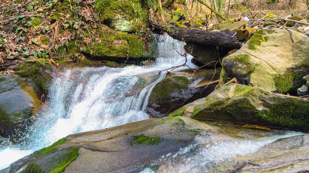 Photograph by Виталий Шкадинов