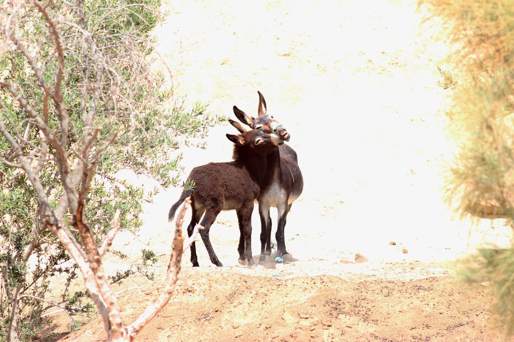 Photograph by Anastasia Kodatenko