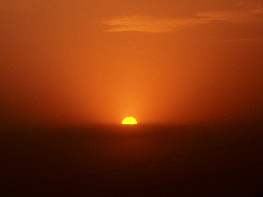 Photograph by Светлана Шибаршина