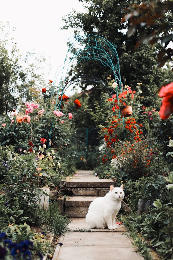 Фотография автора Евгения