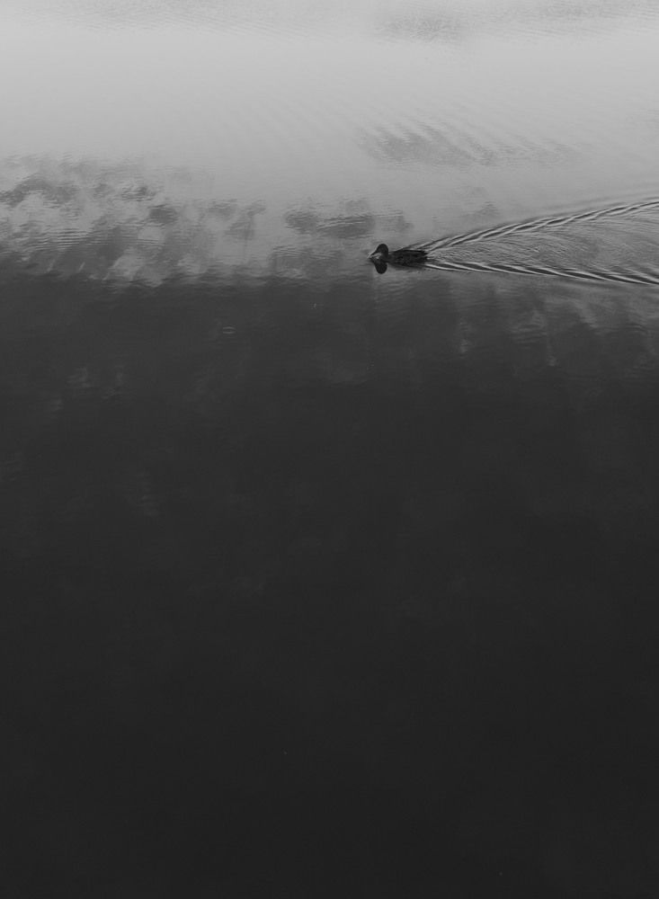 Photograph by Евгения