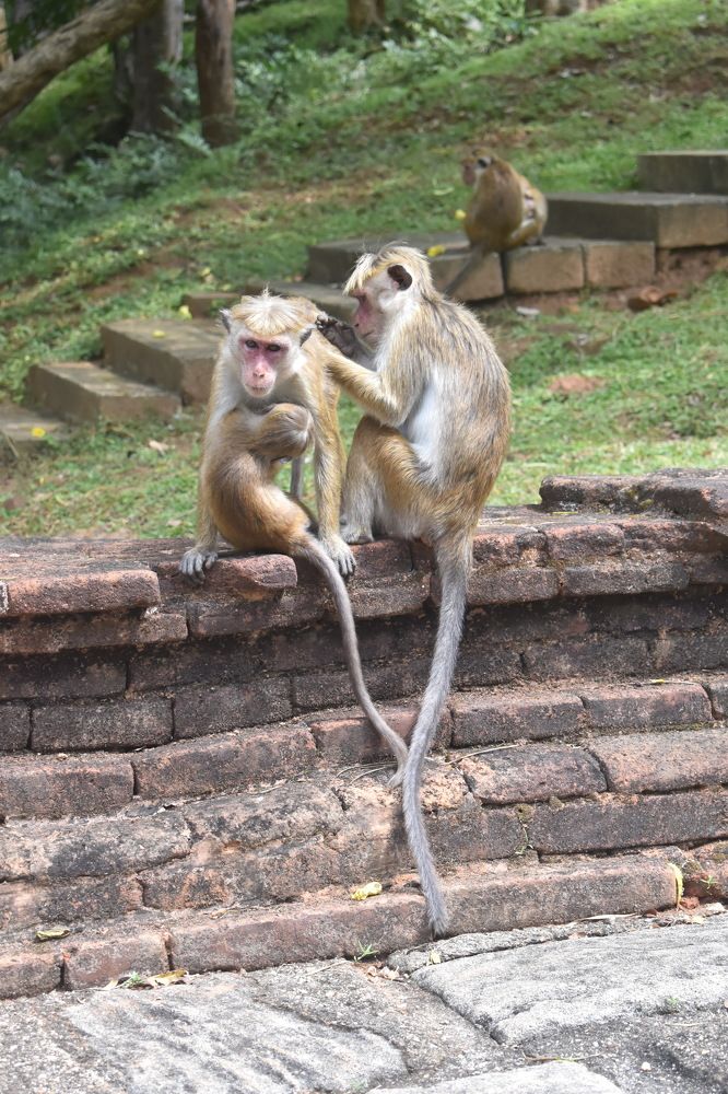 Фотография автора Яврова Татьяна