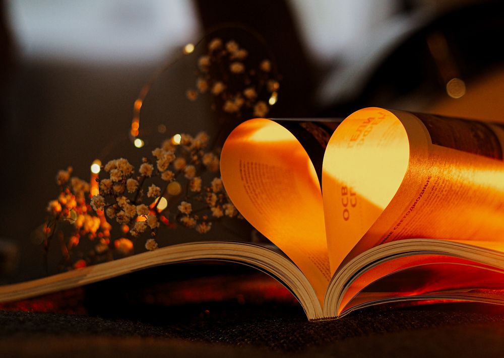 Photograph by Светлана Шибаршина