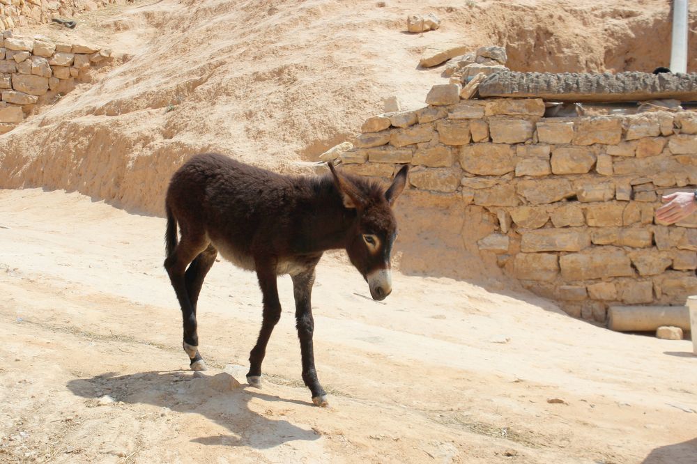 Photograph by Anastasia Kodatenko