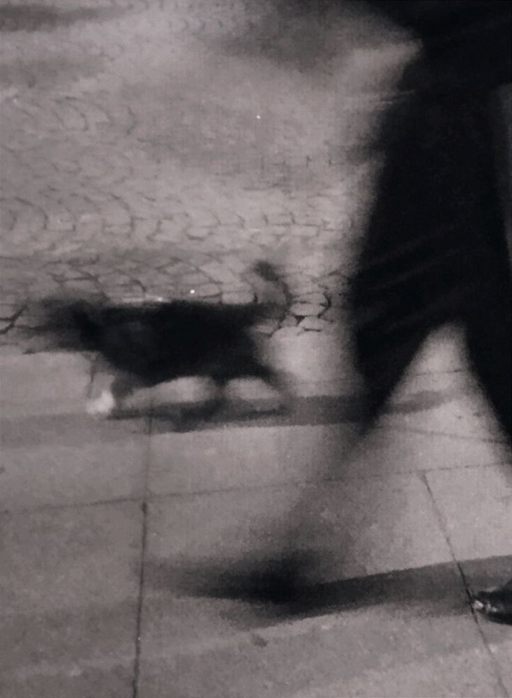 Photograph by Юрий Катков