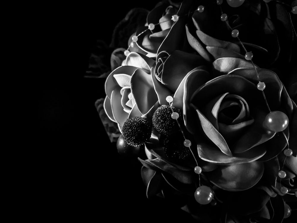 Photograph by Светлана Шибаршина