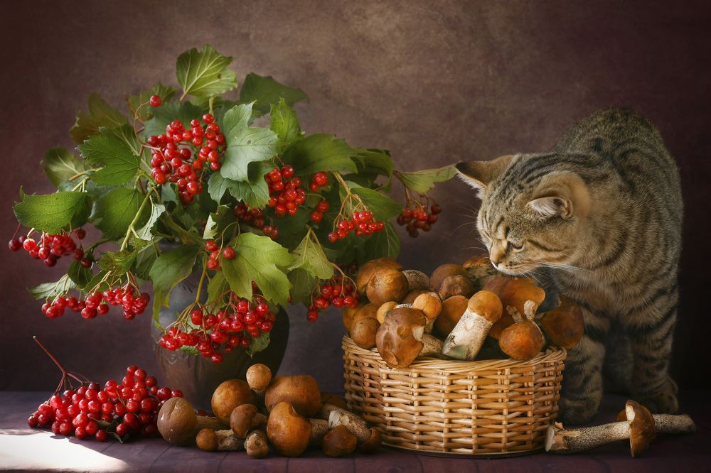 Photograph by Ирина Ефимова