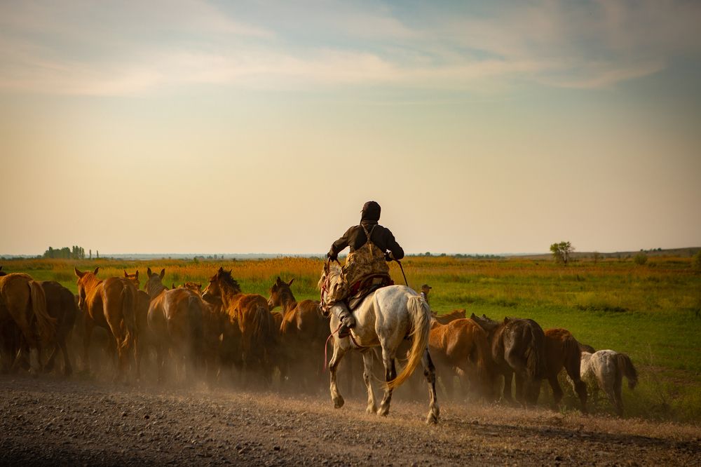 Photograph by Анна Федорова