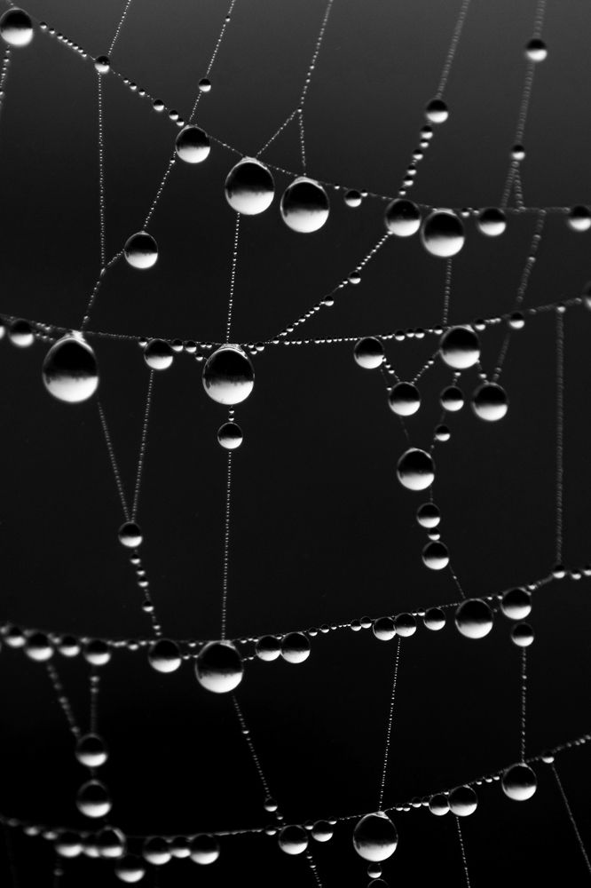 Photograph by Татьяна Романова