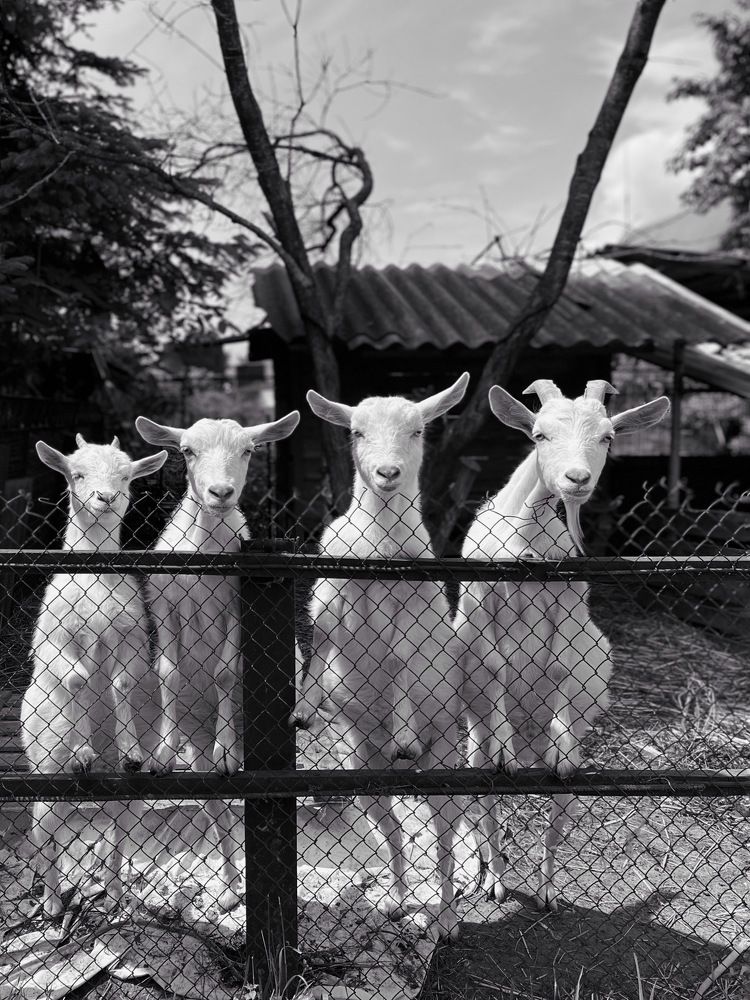 Photograph by Яна Сел