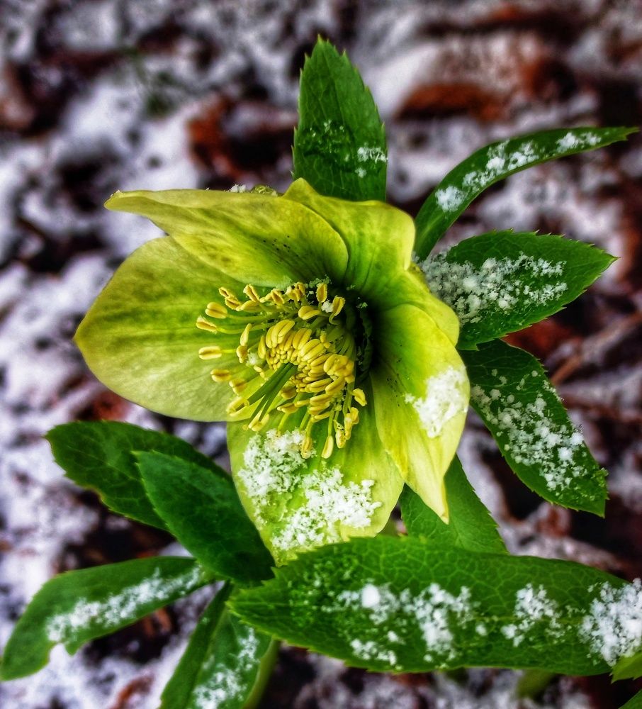 Photograph by Юлия Коробкова