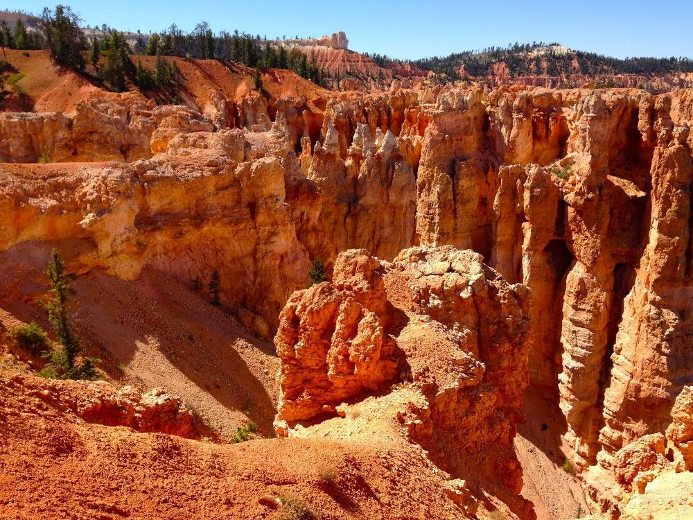 Фотография автора Елена