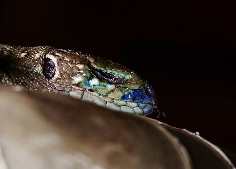 Photograph by Олег Китаев