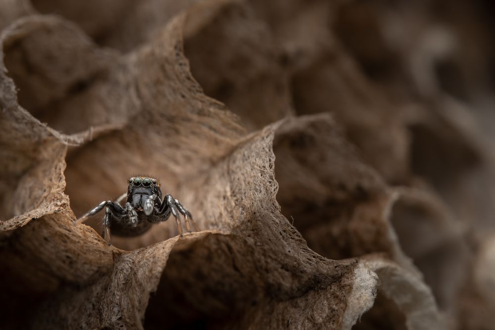 Фотография автора Krisztina Mácsai