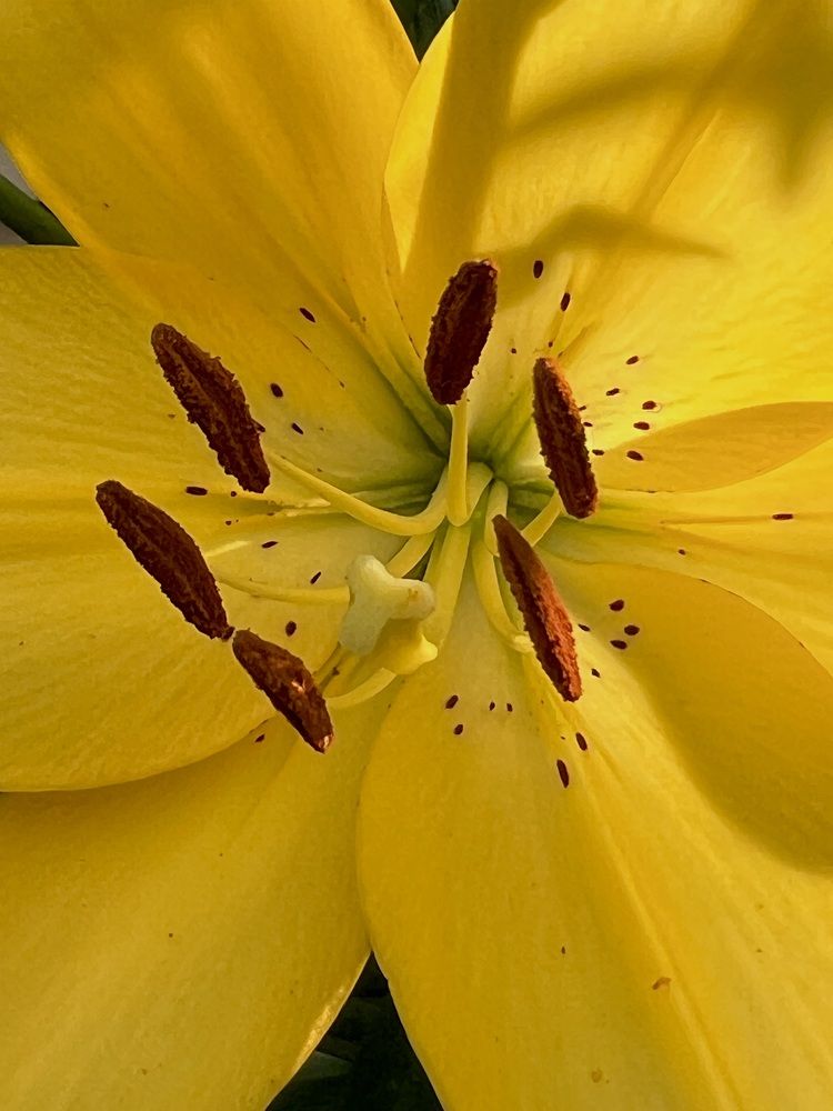 Photograph by Яна Сел