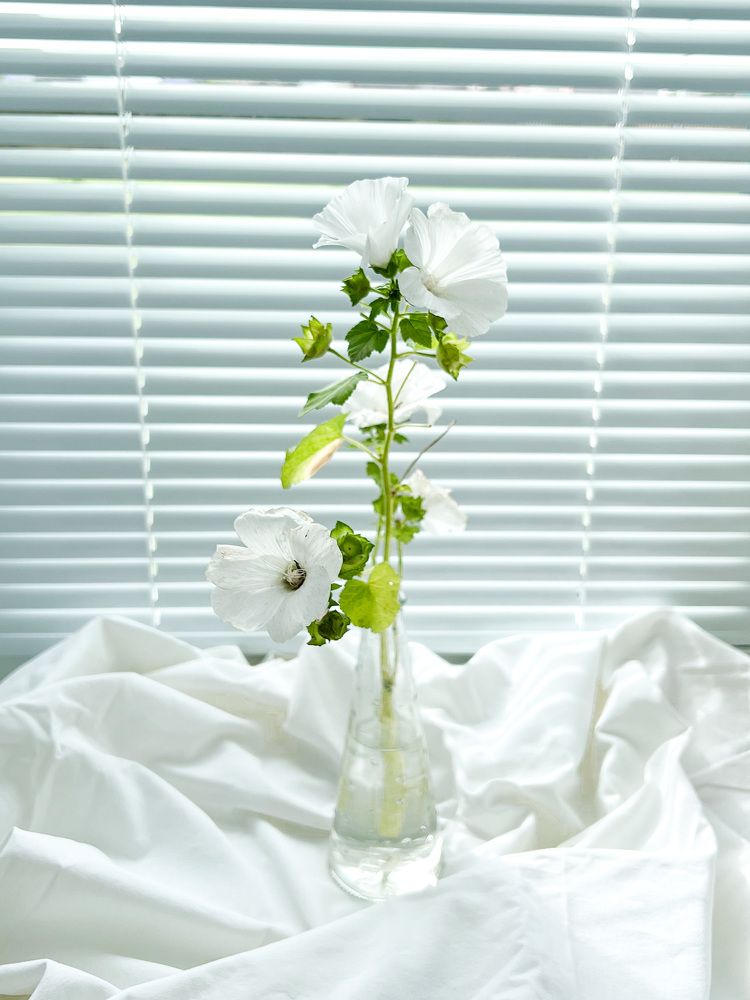 Photograph by Елена Сиушова