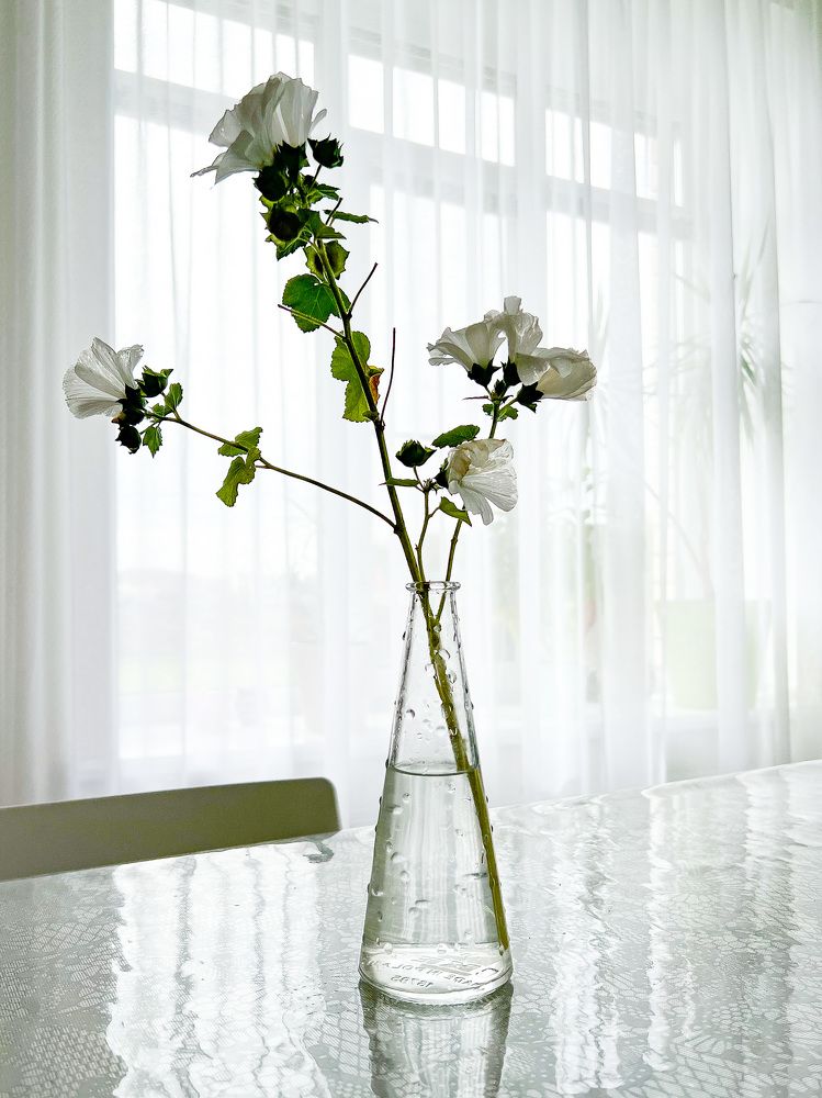 Photograph by Елена Сиушова