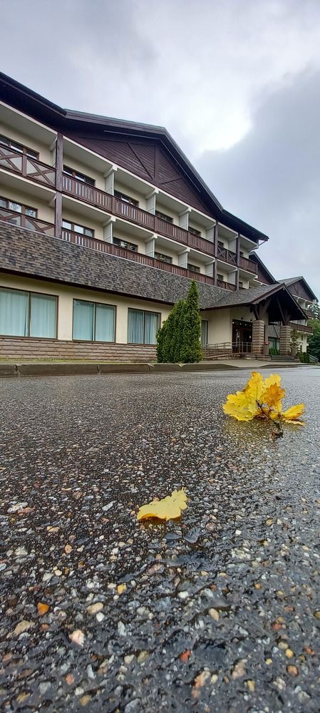 Осень на асфальте