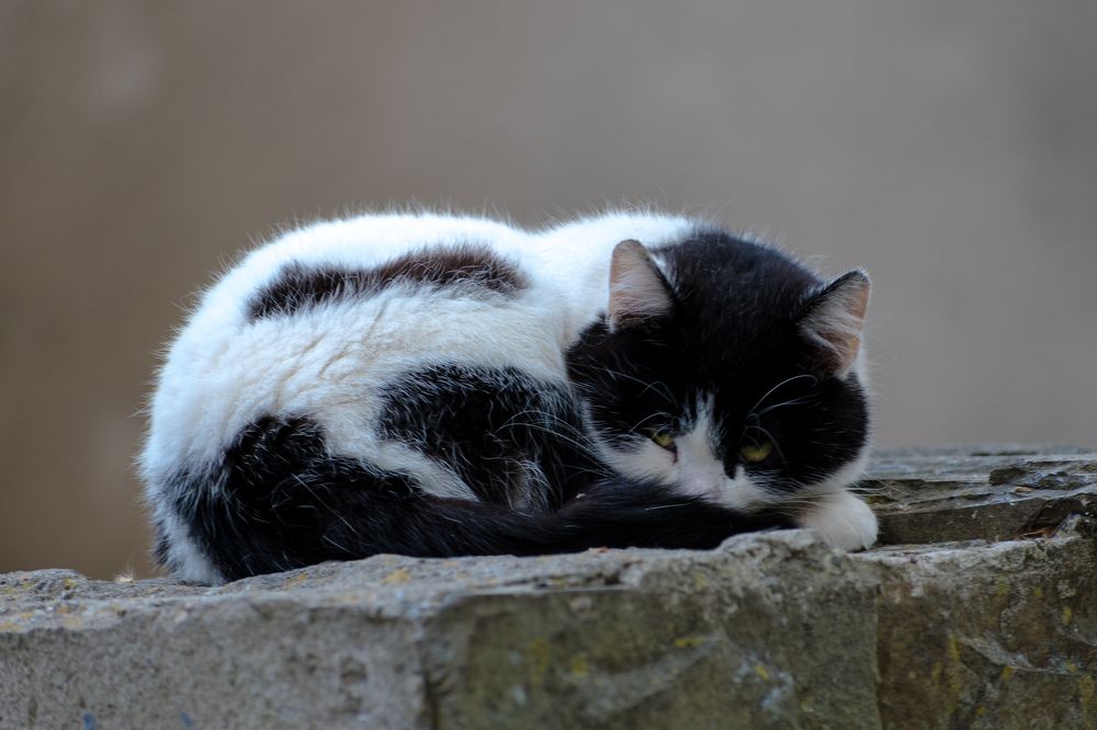 Photograph by Александр Фанталов