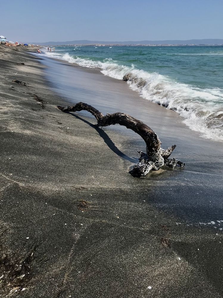 Photograph by Юлия Лис-а