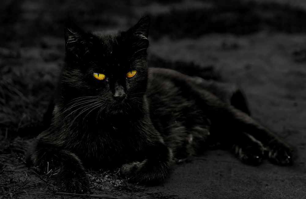 Photograph by александр лялин