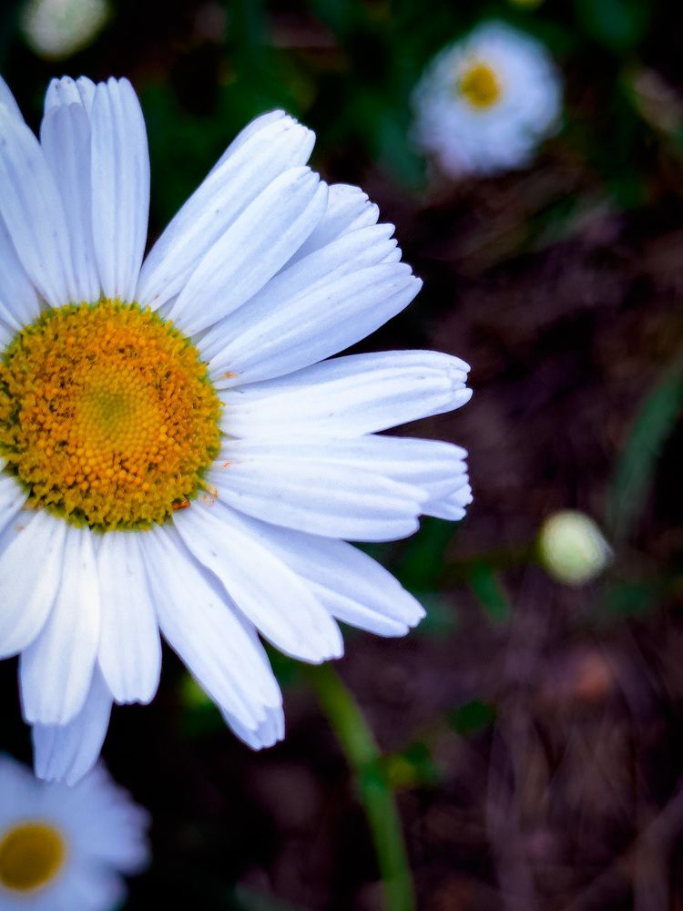 Photograph by Evgenia Privalova