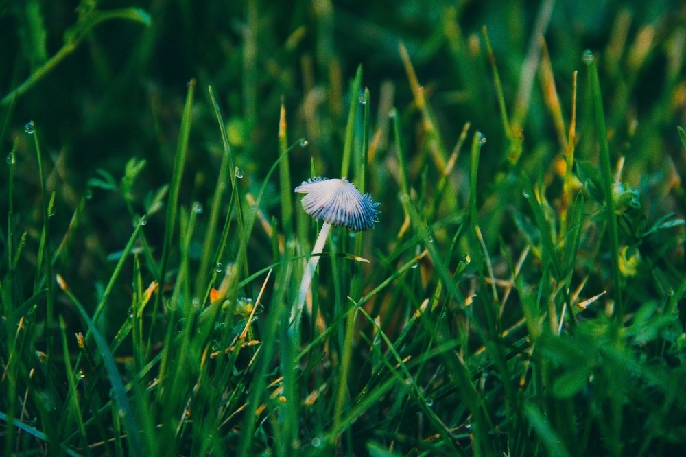 Photograph by Анна Любимова