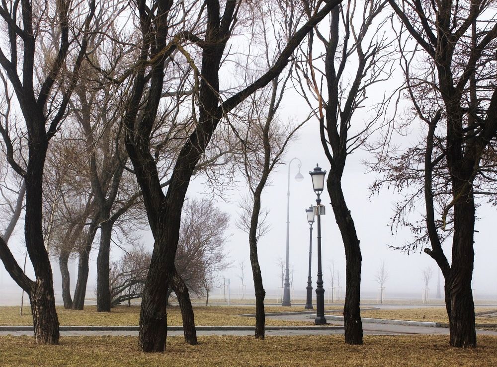 Photograph by Гордий Михаил