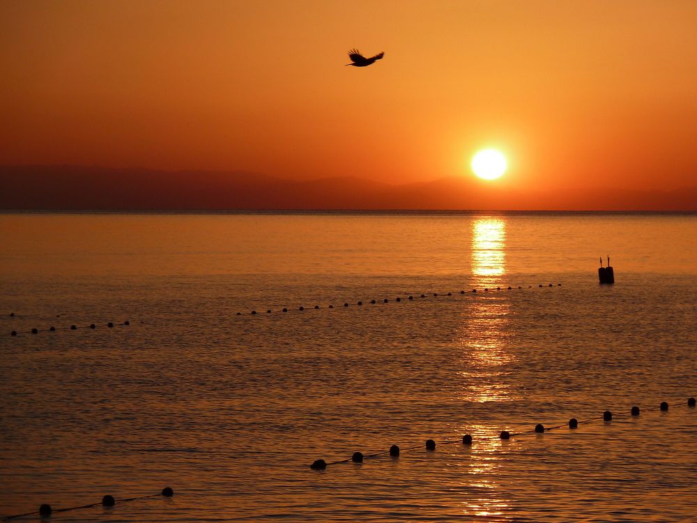 Средиземноморский восход