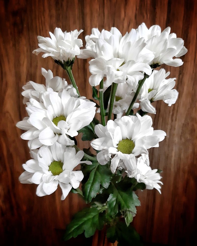 Букетик хризантем