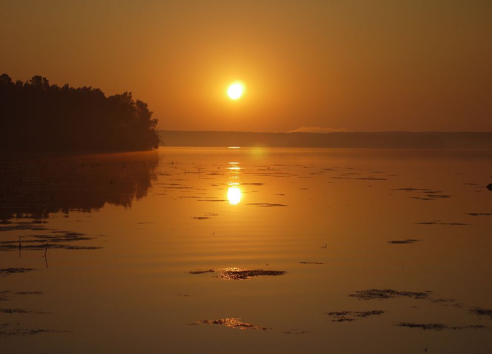 Photograph by Баженова Наталья