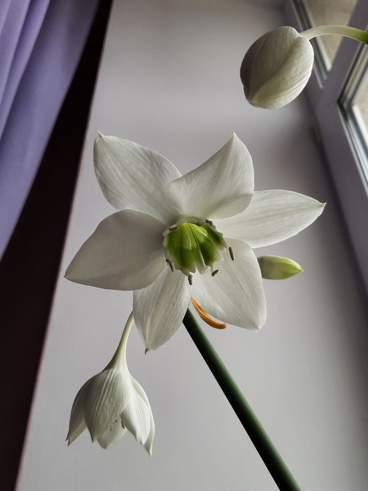 Photograph by Бакшеева Марина