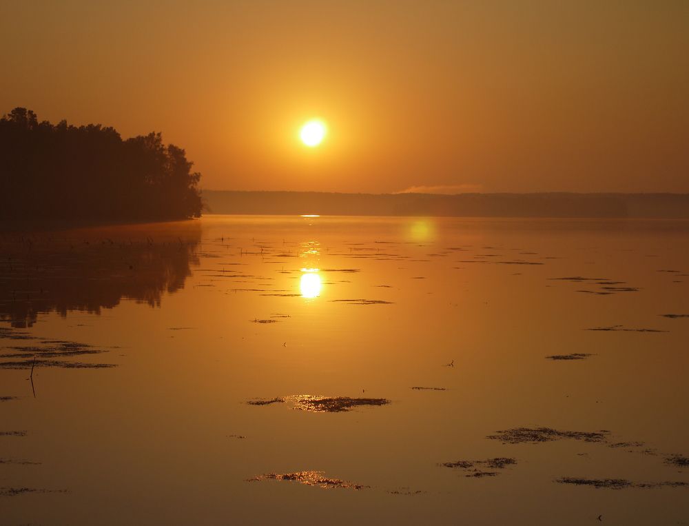 Photograph by Баженова Наталья