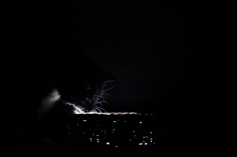 Фотография автора Вадим Писарев