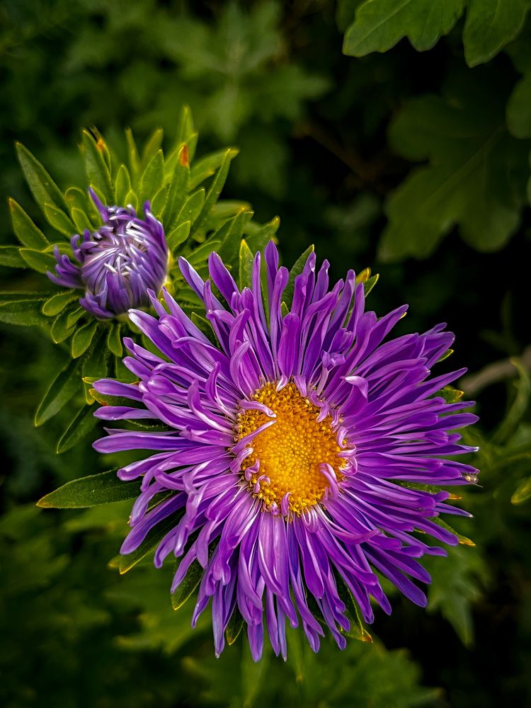 Photograph by Марина Подольная