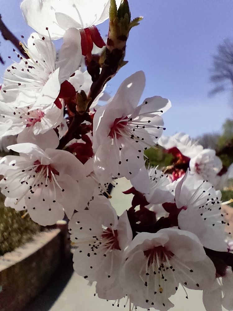 Photograph by Елена Егорова