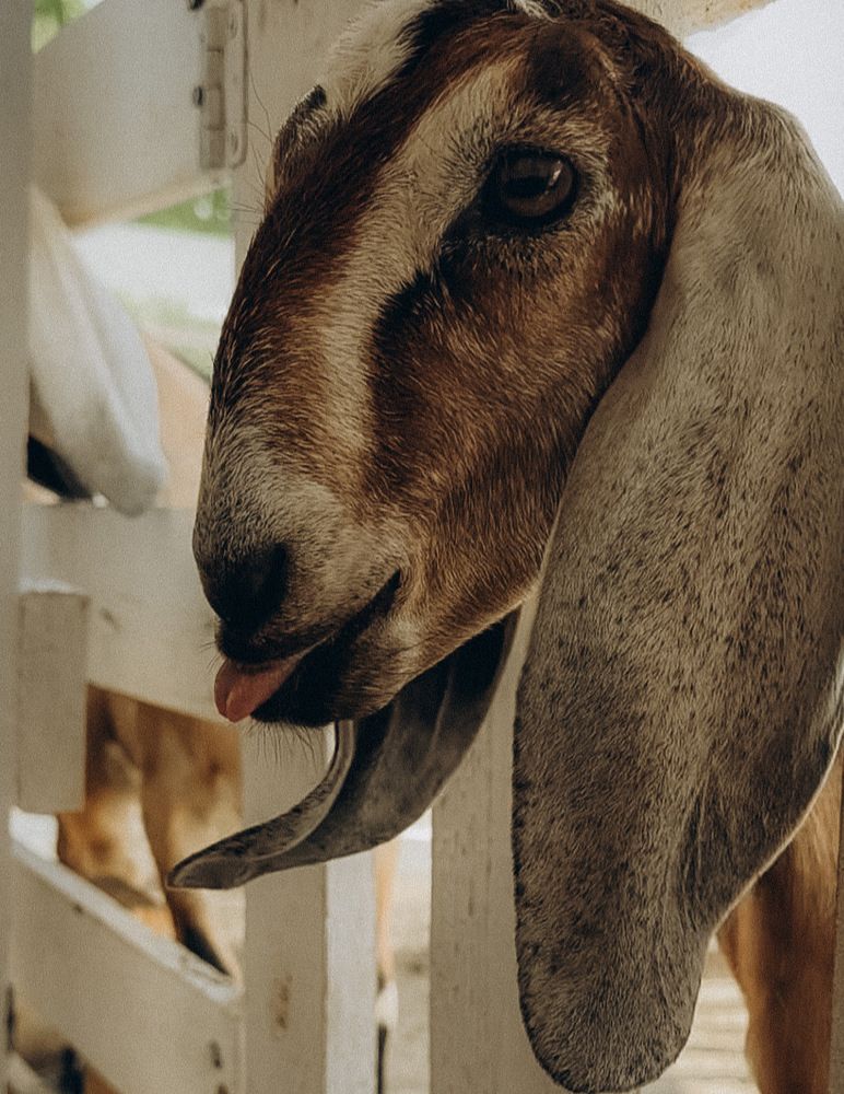 Photograph by Аленa Пономарева