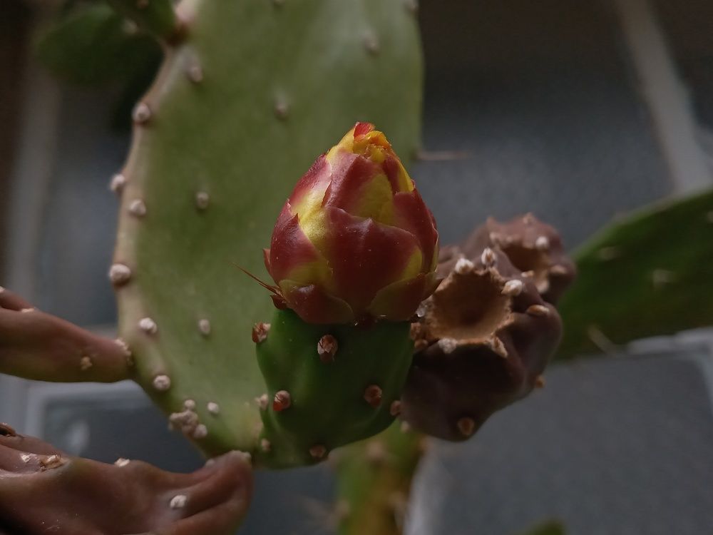 Photograph by Rahim Rahimi