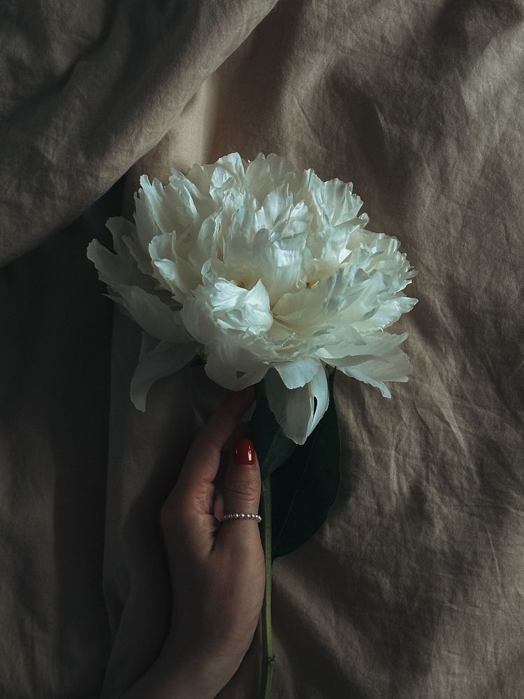 Photograph by Аленa Пономарева