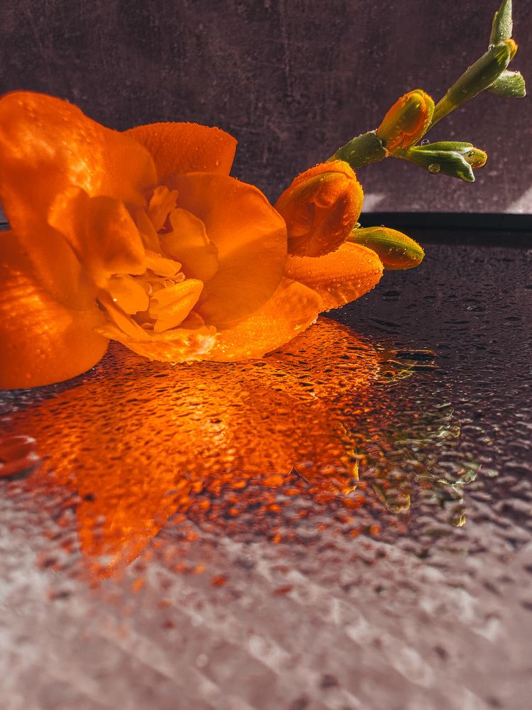 Photograph by Аленa Пономарева