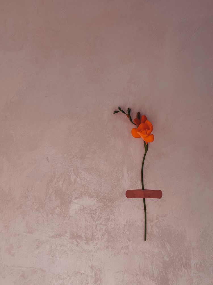 Photograph by Аленa Пономарева