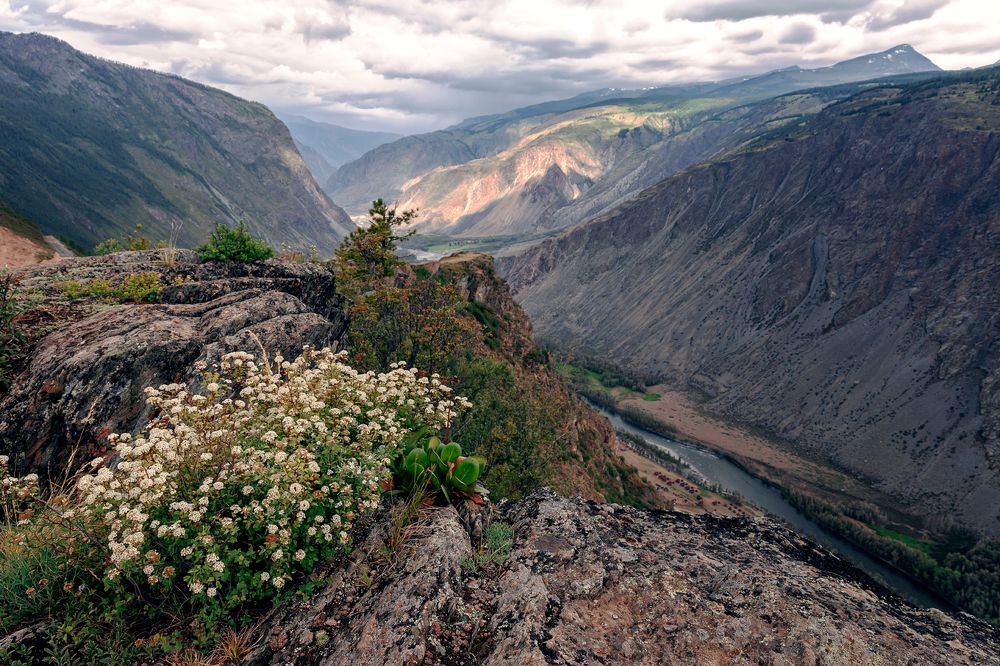 Photograph by Александр Телешов