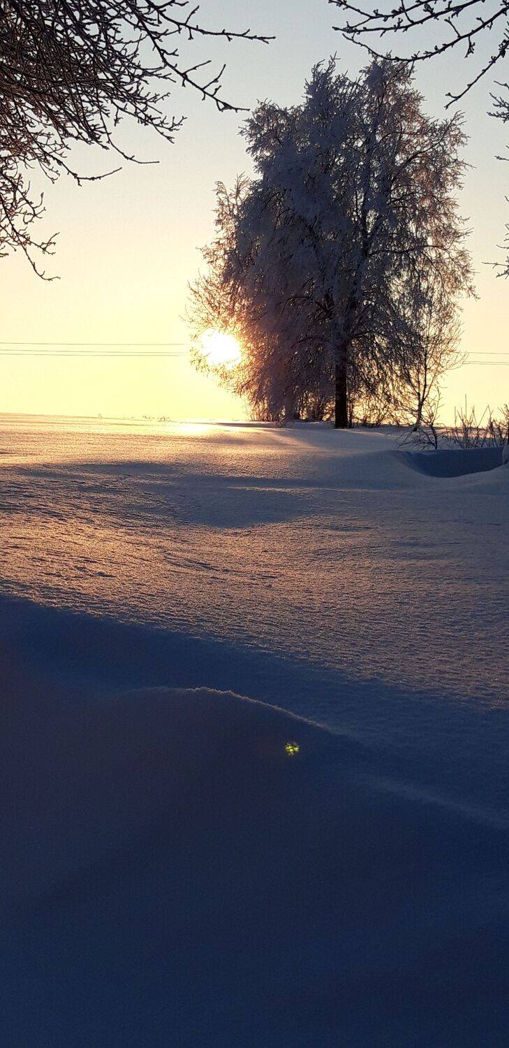 Рассвет в деревне.