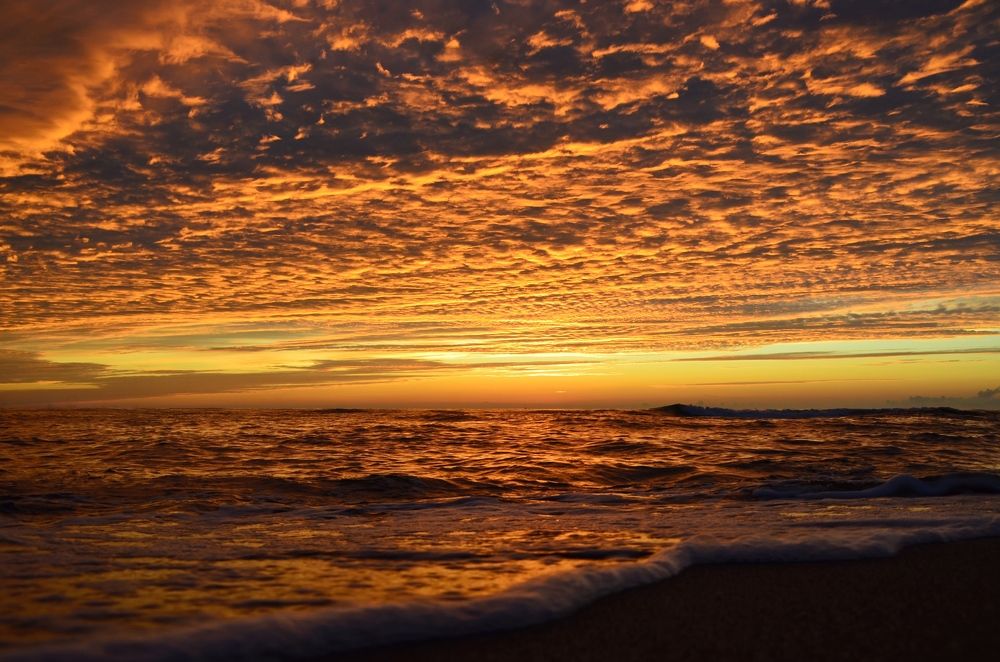 Photograph by Galina Baranovskaja