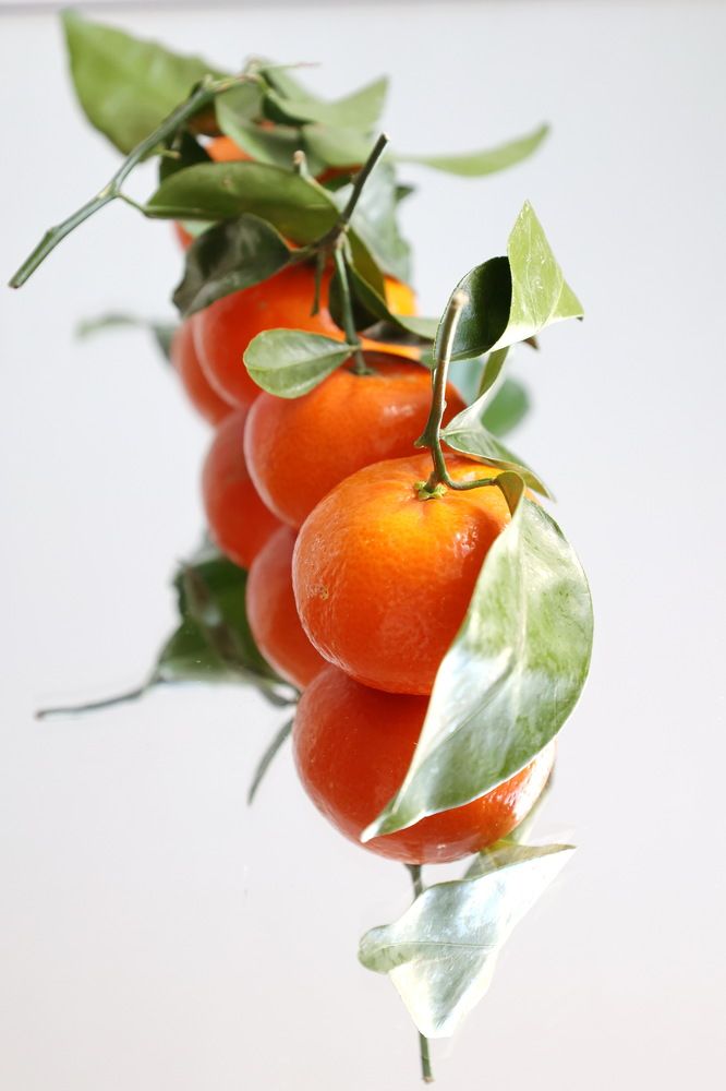 Photograph by Tatiana Serova