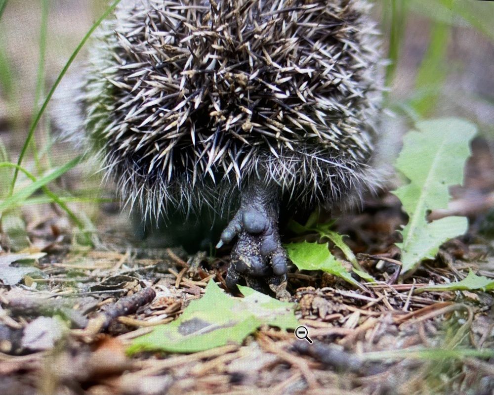 Photograph by Ольга Осинина