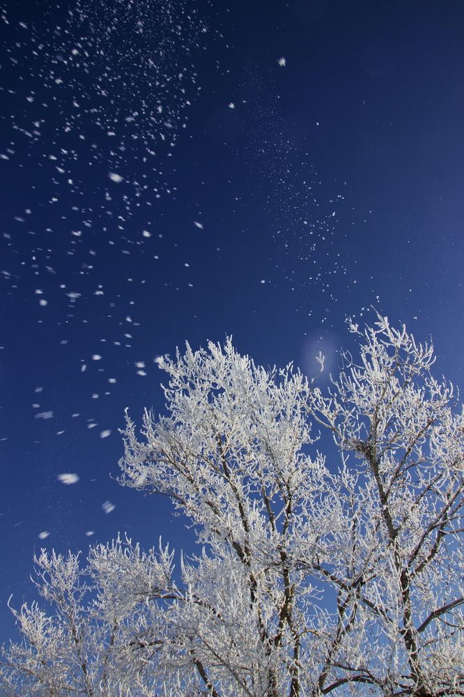 Photograph by Марина