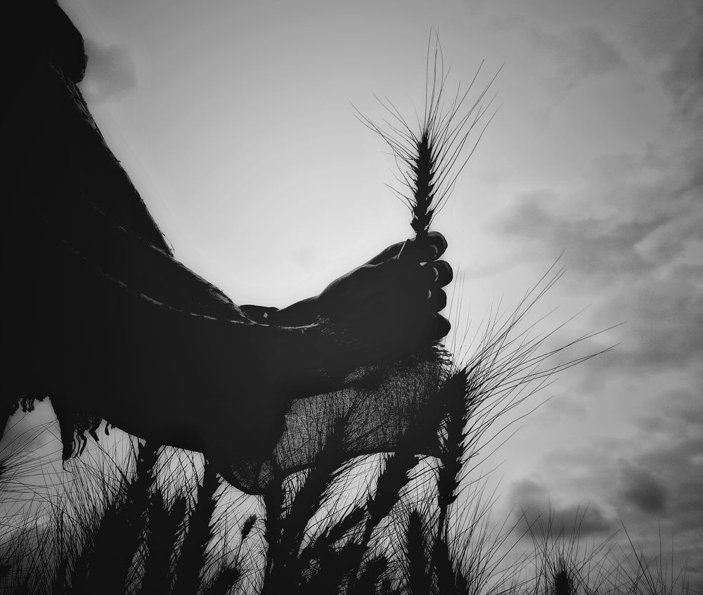 Photograph by shahin foroughi