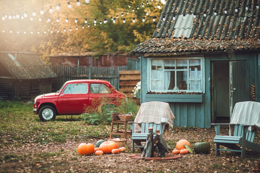 Фотография автора Виктория Головнич