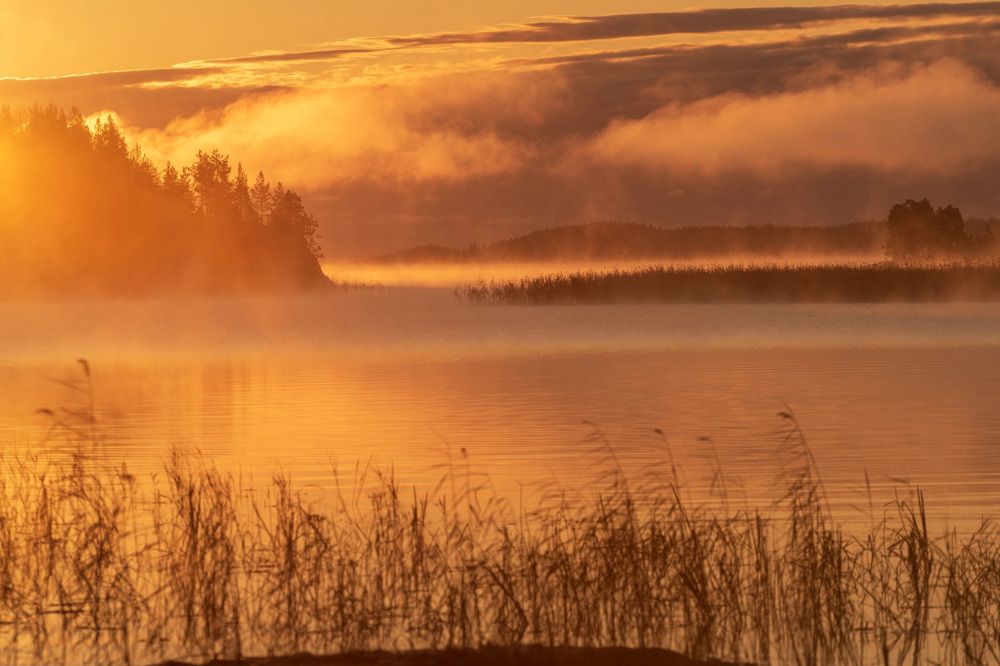 Photograph by Крицак Ольга